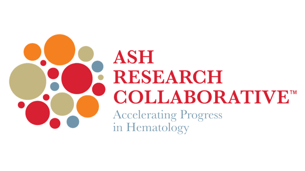 ASH Logo (SEO)