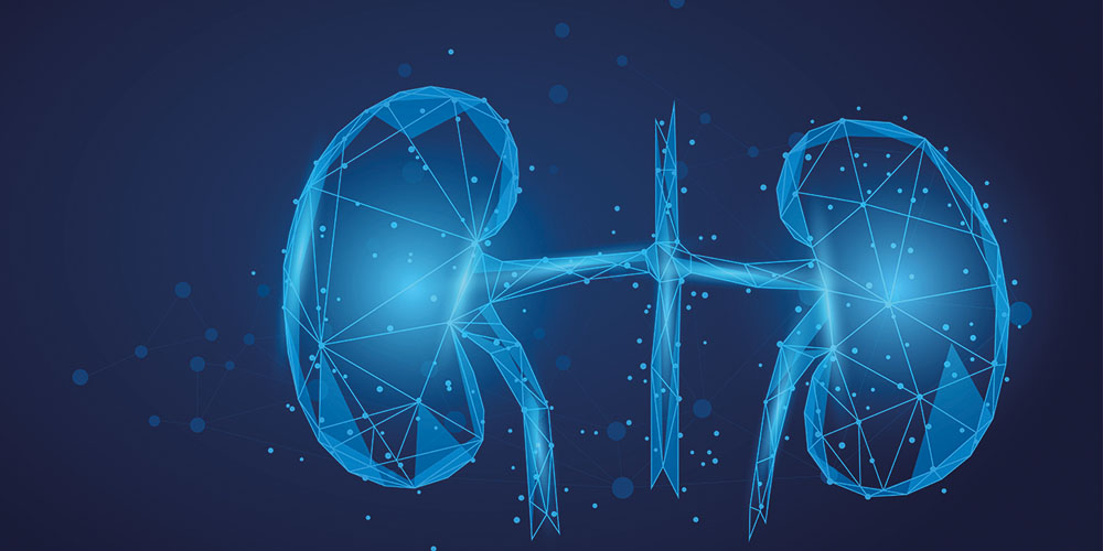 AI Predicts Kidney Disease